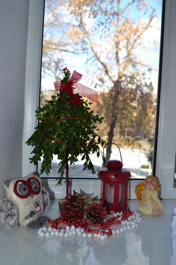 Квартира Двохкімнатна Фонтан Apartman Kamjanyi Potoki Kültér fotó